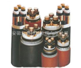 交聯聚乙烯 絕緣電力電纜