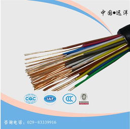 咸陽計算機電纜 遠洋電線電纜 計價格 咸陽計算機電纜 遠洋電線電纜 計型號規格