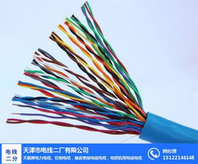 天津電線電纜 電線二廠