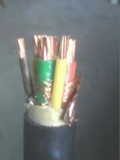 變頻器專用電力電纜-BPYJVPP2-3×25+3×4價格_電線電纜欄目